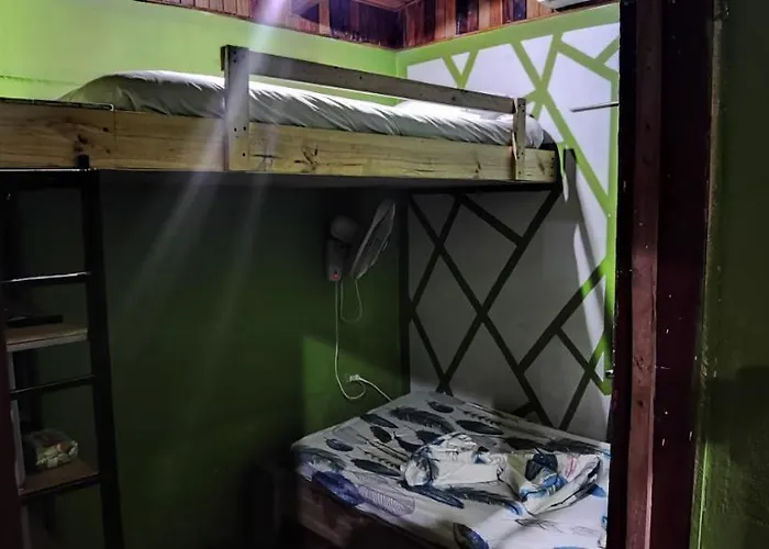 Lizards House Playa